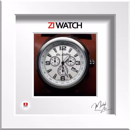 Accueil 26 zi-watch-dr_lalive